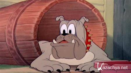        / Mickey Mouse And Friends (2011) Dvdrip