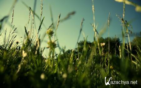 ������ ���������� ������� (����� 34)