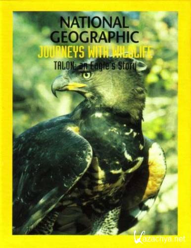    / Talon: An Eagle Story (2000) DVDRip