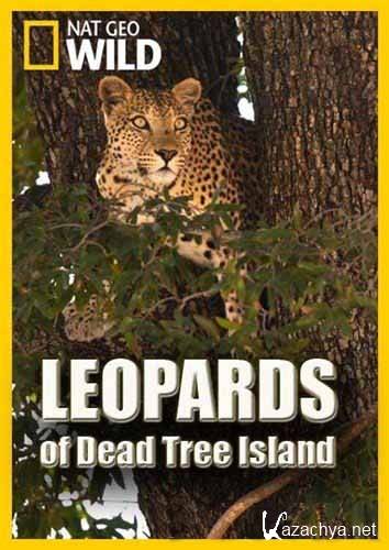    / Leopards of Dead Tree Island (2010) HDTVRip
