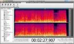 Ableton Suite 8.2 2012 + AVS Audio Editor 7.1 + Portable 