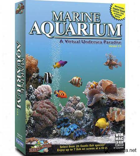 Marine aquarium. Морской аквариум. Заставка Marine Aquarium. Marine Aquarium 2. Проекты морских аквариумов.