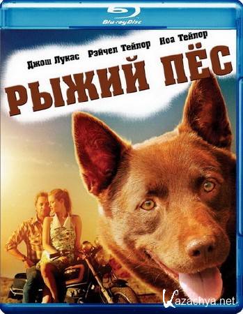   / Red Dog (2011) BDRip 1080p/720p