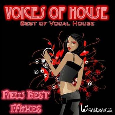 VA - New Best Mixes (27.02.2012). MP3 
