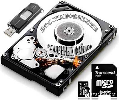 Raise Data Recovery for FAT/NTFS 5.2 (Multi/)