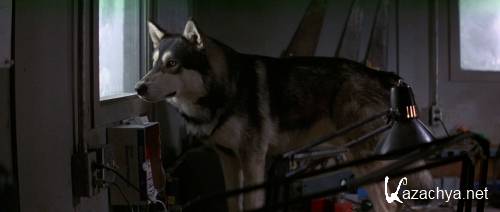 ����� / The Thing (1982) HDRip + BDRip-AVC(720p) + BDRip 720p + BDRip 1080p