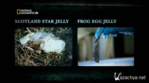 ��������������. �������� ����� � ����������� ���� / Paranatural Blood rain and star jelly (2010) HDTV