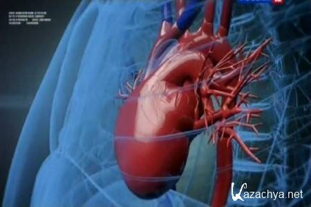 ����� 2.0. ������������ ������. �������� ���� (2011) SATRip 