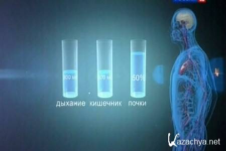 ����� 2.0. ������������ ������. �������� ���� (2011) SATRip 