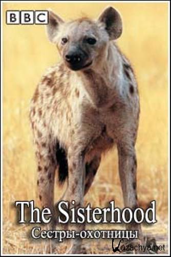  . - / The Natural World. The Sisterhood (1990) IPTVRip
