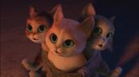   :   / Puss in Boots: The Three Diablos (2011) HD