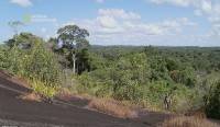  .   / Guardians of Nature. French Guyana (2005) HDTVRip