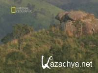 .    / Anamalai. India's Elephant Mountain (2000) SATRip