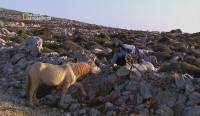  .  / Guardians of Nature. Greece (2005) HDTVRip