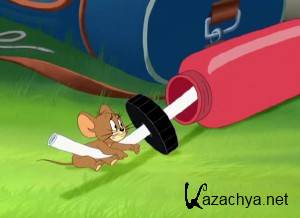   :    / Tom and Jerry: In the Dog House (2011/DVDRip)