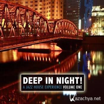 Deep In The Night! A Jazz House Experience (2011)