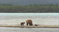    / Die letzten Paradiese - Alaska: Nomaden der Wildnis (2004) DVDRip
