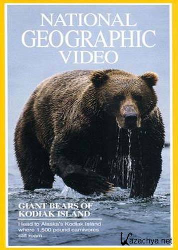   / Giant Bears of Kodiak Island (1994) TVRip