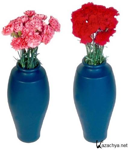 ��������: ����� - ��������