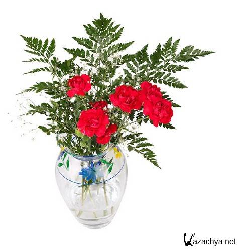 ��������: ����� - ��������