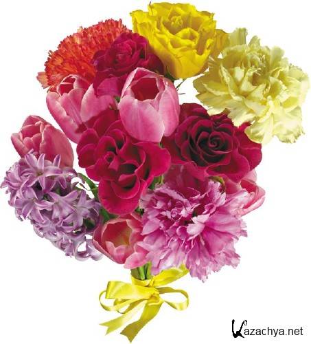 ��������: ����� - ��������