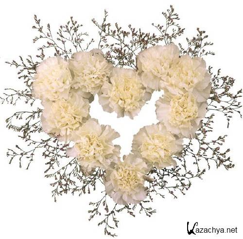 ��������: ����� - ��������