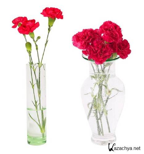 ��������: ����� - ��������