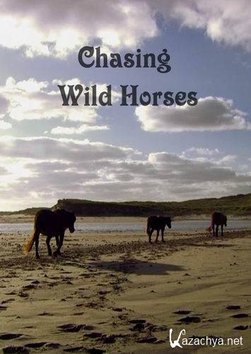     / Chasing wild horses (2008) HDTVRip