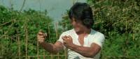 ������ ������ / Drunken Master / Jui kuen (1978) HDTVRip-AVC