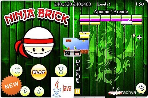 Ninja Brick /  