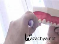 ��� ��������� ������� ���� [2010 �., DVDRip]