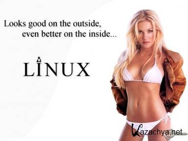 Aleks-Linux v1.1 (x86) (2012)