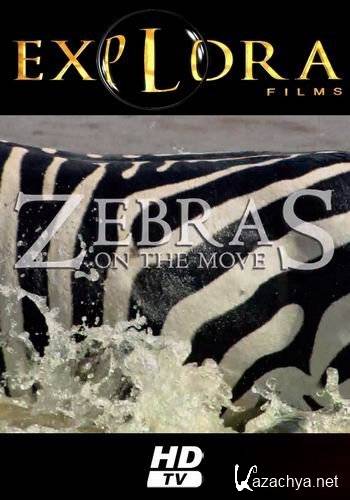    / Zebras on the Move (2009) HDTVRip