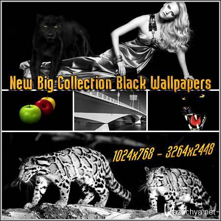 New Big Collection Black Wallpapers