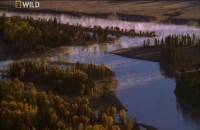 .    / Yellowstone. America's Sacred Wilderness (2001) SATRip