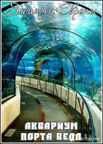  .    / Les Zoos d' Europe. L'aquarium de Port Vell (2007) HDTVRip
