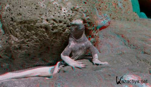 ����������: �������������� ����������� 3D / Galapagos: The Enchanted Voyage 3D (1999) DVDRip