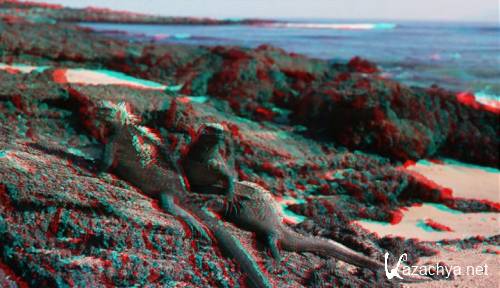 ����������: �������������� ����������� 3D / Galapagos: The Enchanted Voyage 3D (1999) DVDRip