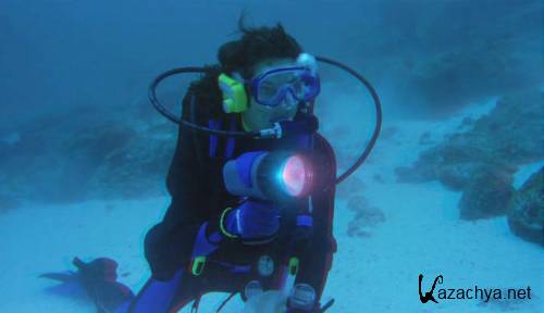 ����������: �������������� ����������� 3D / Galapagos: The Enchanted Voyage 3D (1999) DVDRip