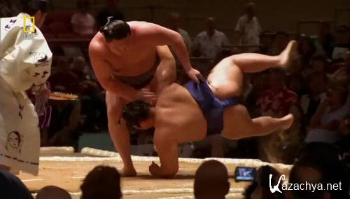  : .   / Iside: Sumo's Ultimate Clash (2007) HDTVRip