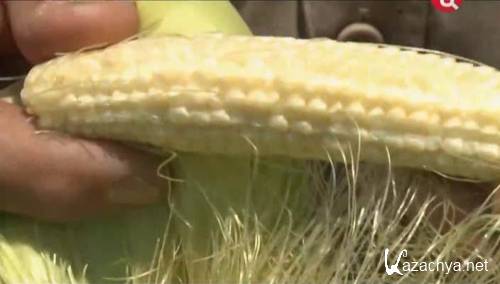 ��� ��������� ����� (2012) SATRip