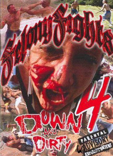    4 / felony fight 4 (2006) DVDRip
