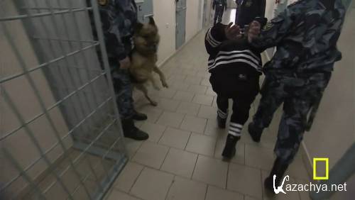  .     / Inside. Russias Toughest Prisons (2011) HDTVRip 720p