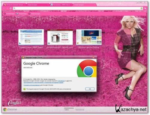 Google Chrome 18.0.1025.142 Stable