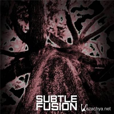 Subtle Fusion - Subtle Fusion (2012)