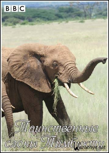    / Natural World. The Lost Elephants of Timbuktu (2001) SATRip