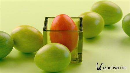 ��������� ����� �� ���� ����� �2