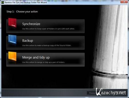 Bamboo File Sync and Backup 3.4 Professional Edition