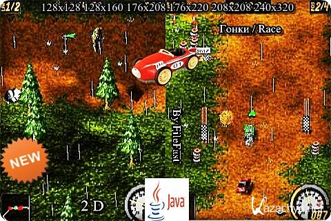 Flatout 2D / - 2D