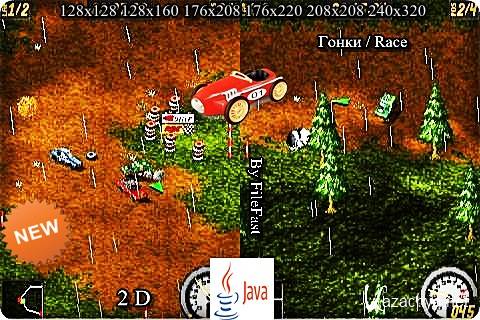 Flatout 2D / - 2D